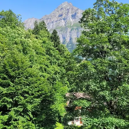 Waldhuus Bellary 山林小屋